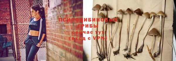 прущая мука Заволжск