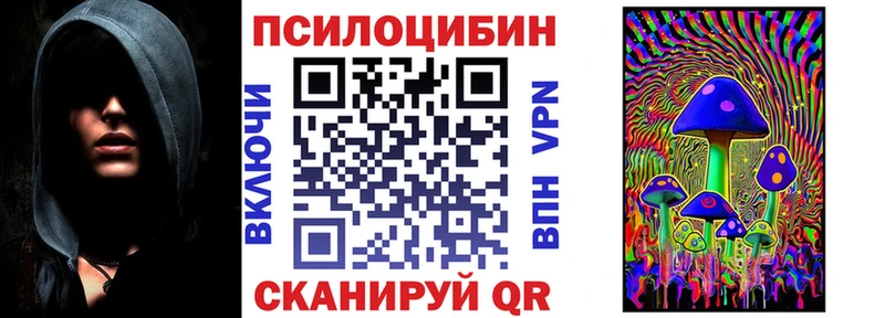 Псилоцибиновые грибы мицелий  блэк спрут ссылка  Новокузнецк  купить наркотики сайты 
