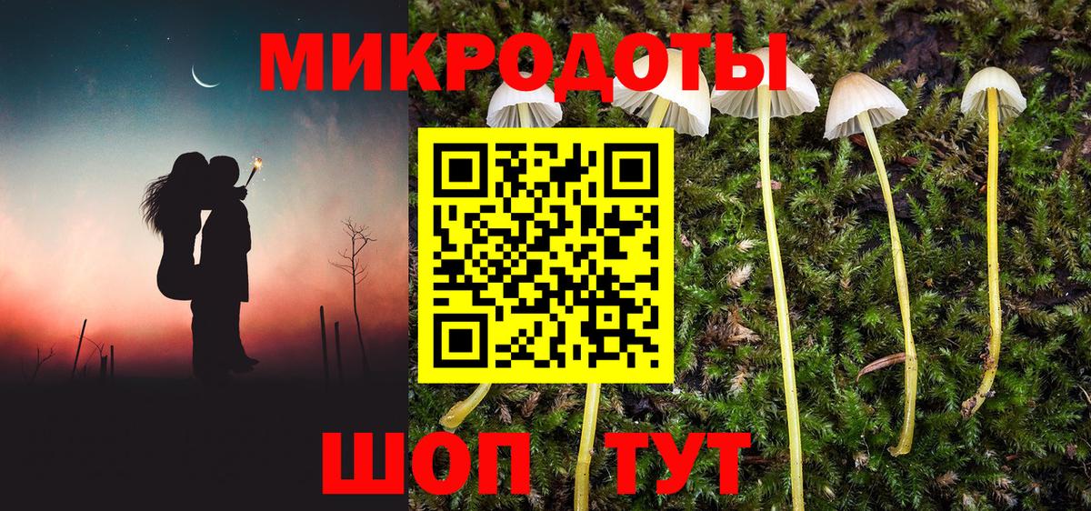 Псилоцибиновые грибы мухоморы  Вход с VPN  Россия 